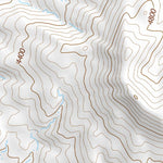 30104NW Page 66 Mount Livermore Topo Preview 2