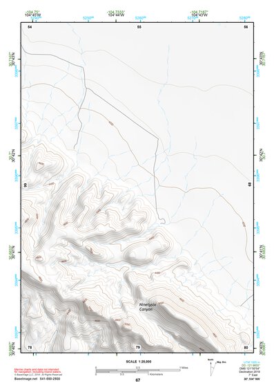 30104NW Page 67 Mount Livermore Topo Preview 1
