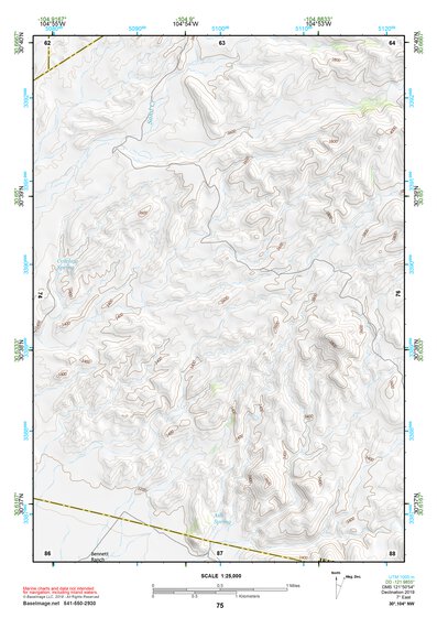 30104NW Page 75 Mount Livermore Topo Preview 1