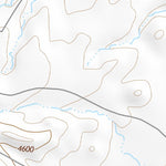 30104NW Page 80 Mount Livermore Topo Preview 2