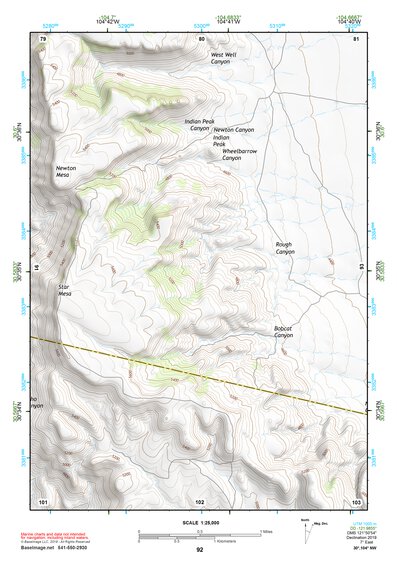 30104NW Page 92 Mount Livermore Topo Preview 1