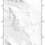 30104NW Page 95 Mount Livermore Topo Preview 1