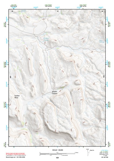 30104NW Page 101 Mount Livermore Topo Preview 1