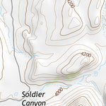 30104NW Page 101 Mount Livermore Topo Preview 2