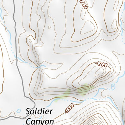 30104NW Page 101 Mount Livermore Topo Preview 2