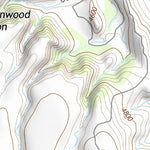 30104NW Page 103 Mount Livermore Topo Preview 3