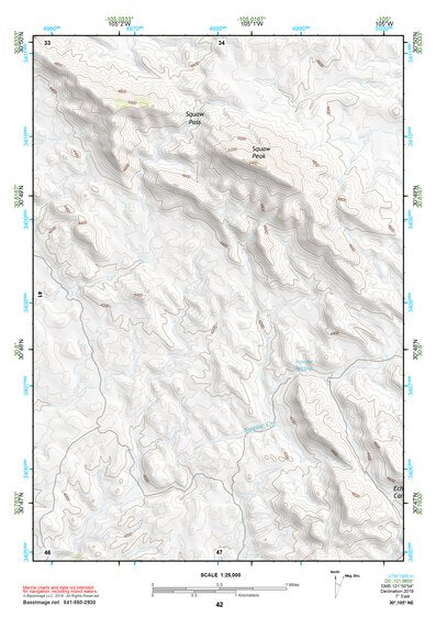 30105NE Page 42 Indian Hot Springs Topo Preview 1