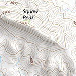 30105NE Page 42 Indian Hot Springs Topo Preview 3