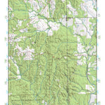 (31090e1) Page 060 Brookhaven Preview 1