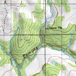 (31098e1) Page 061 Comanche Preview 3