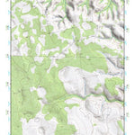 (31101e1) Page 052 Lacy Creek Preview 1