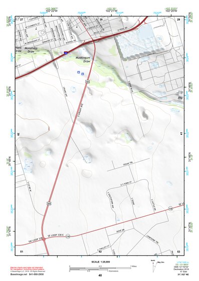 31102NE Page 40 Odessa Topo Preview 1