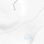 31102NE Page 79 Odessa Topo Preview 2