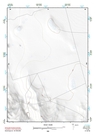31102NE Page 103 Odessa Topo Preview 1