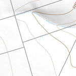 31102NW Page 34 Odessa Topo Preview 3
