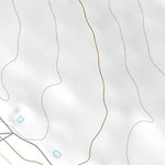 31102NW Page 81 Odessa Topo Preview 2