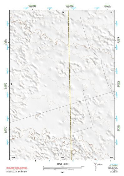 31102NW Page 90 Odessa Topo Preview 1