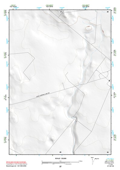 31102SE Page 37 Crane Topo Preview 1