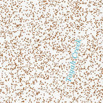 31103SE Page 27 Pecos Topo Preview 3