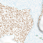31103SE Page 38 Pecos Topo Preview 2