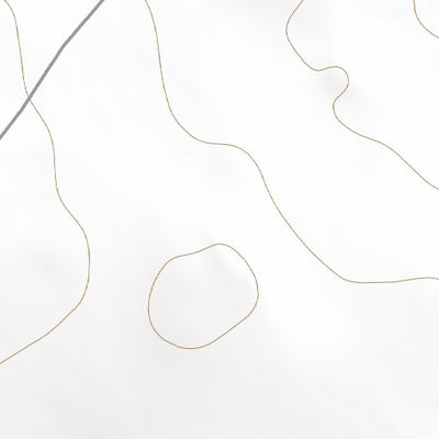 31104SE Page 12 Van Horn Topo Preview 2