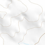 31104SE Page 21 Van Horn Topo Preview 3