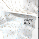 31105NE Page 31 Dell City Topo Preview 3