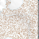 31105NE Page 33 Dell City Topo Preview 3