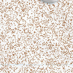 31105NE Page 34 Dell City Topo Preview 3