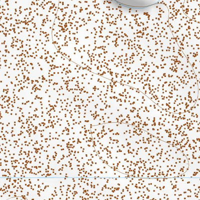 31105NE Page 34 Dell City Topo Preview 3