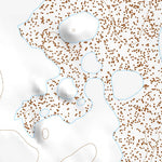 31105NE Page 47 Dell City Topo Preview 3