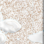 31105NE Page 48 Dell City Topo Preview 3