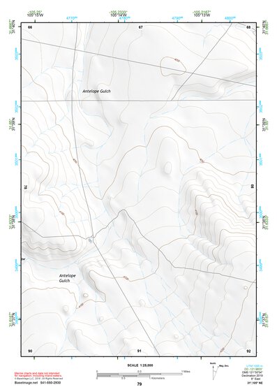 31105NE Page 79 Dell City Topo Preview 1