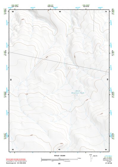 31105NE Page 81 Dell City Topo Preview 1