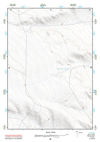 31105NE Page 99 Dell City Topo Preview 1