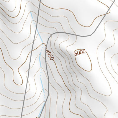 31105NW Page 19 Dell City Topo Preview 3