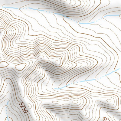 31105NW Page 42 Dell City Topo Preview 2