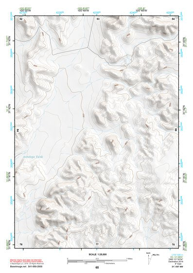 31105NW Page 65 Dell City Topo Preview 1