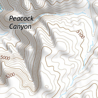 31105NW Page 78 Dell City Topo Preview 3