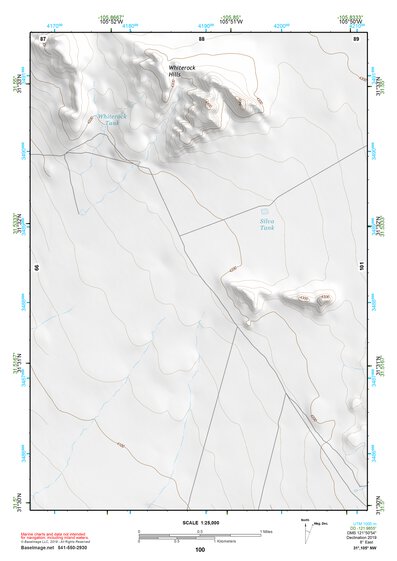 31105NW Page 100 Dell City Topo Preview 1