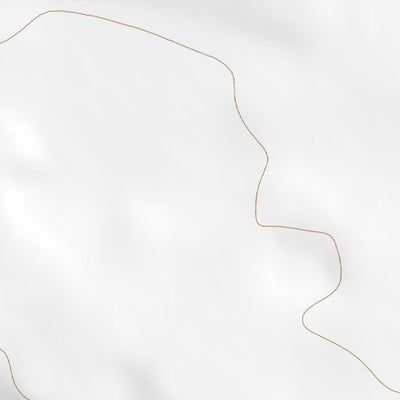 31105SW Page 2 Sierra Blanca Topo Preview 2
