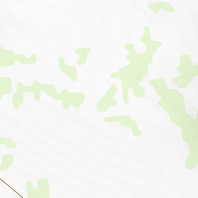 31106NE Page 5 El Paso Topo Preview 2