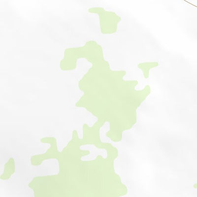 31106NE Page 7 El Paso Topo Preview 2