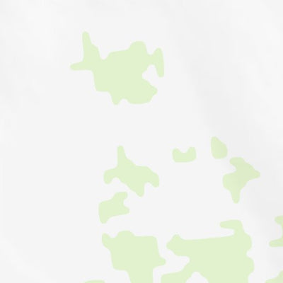 31106NE Page 19 El Paso Topo Preview 2