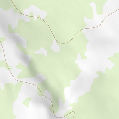 31106NE Page 19 El Paso Topo Preview 3