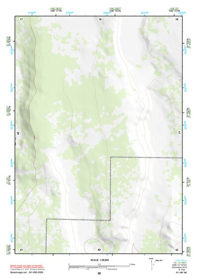 31106NE Page 30 El Paso Topo Preview 1