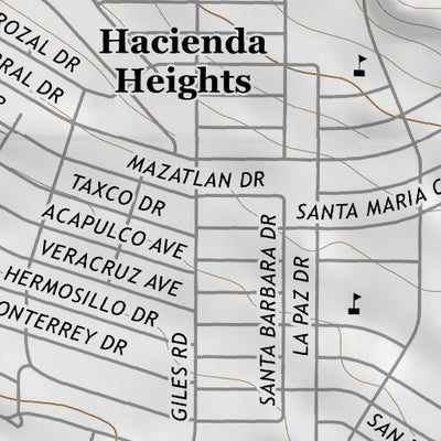 31106NE Page 52 El Paso Topo Preview 2