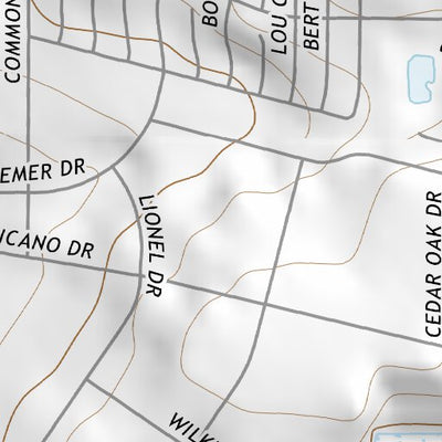 31106NE Page 53 El Paso Topo Preview 2