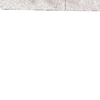 (31106e1) Page 044 El Paso Preview 2