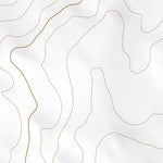 31107NE Page 34 Columbus Topo Preview 2